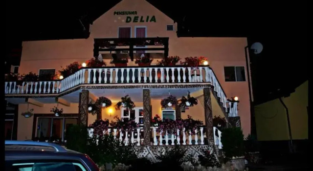 Pensiunea Delia