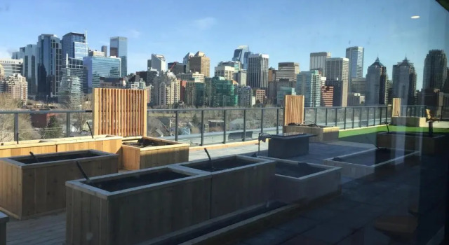 Kensington Suite 2bed & 1bath, Book Hotel Hotels in Calgary with Parking, near Sunalta C Train, Parking