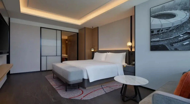 Двухместный люкс Deluxe с видом на парк Radisson Blu Hotel, Shanghai Stadium