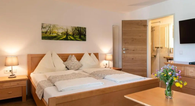 Номер Standard Hotel Irmgard