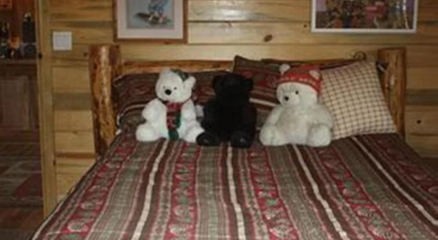 Bear in the Bed & Breakfast, Book Hotel Hatch Panguitch Lake