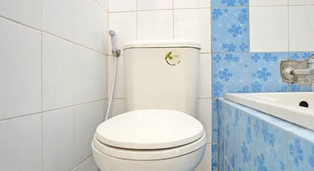 Deluxe dublu suite OYO Life 92030 Ef Palm Guest House Family