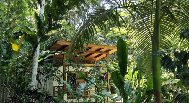 Bungalov Satta Lodge