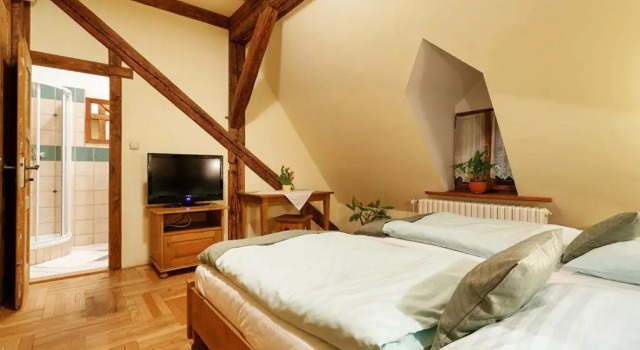Номер Standard Penzion U Kriveho psa