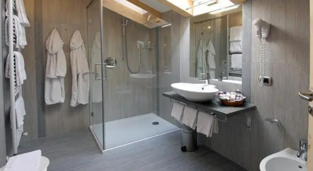 Номер Superior Hotel Flora Alpina