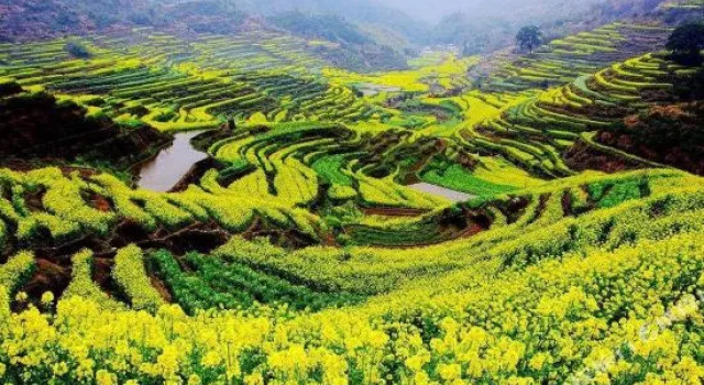 婺源篁岭暖阳客栈, Rezerwuj Hotel Shangrao Jiangxi