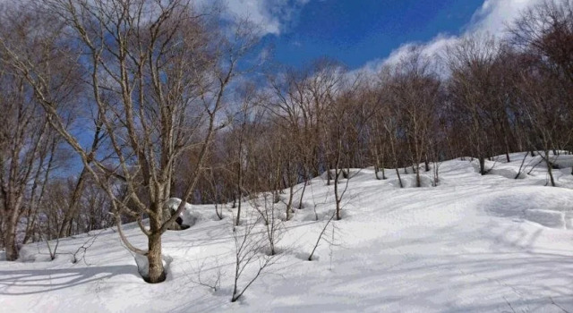 Yukiakari, Забронировать Отель Накано Токио
