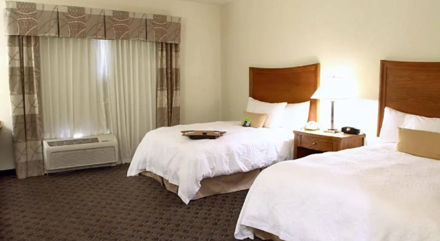 Четырёхместный люкс Hampton Inn & Suites Chesapeake-Square Mall