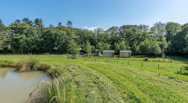 Номер Standard Sunset Cabins at The Oaks Woodland Retreat