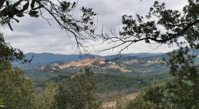 Коттедж Podere Agnese App. 1 - Castagneto Carducci