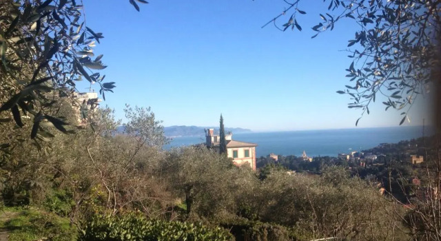 Апартаменты Villa La Sariandola