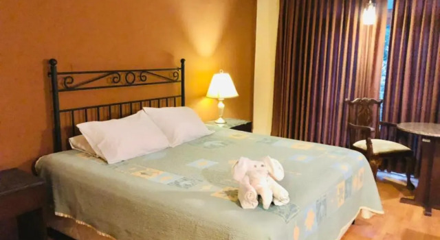 Двухместный номер Superior Hotel Los Ceibos
