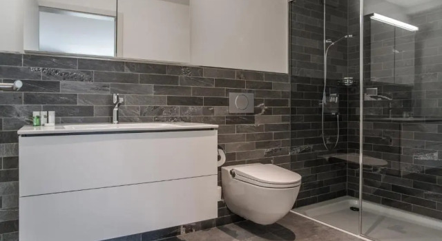 Апартаменты Apartment JungfrauCenter Brienzersee - GriwaRent AG