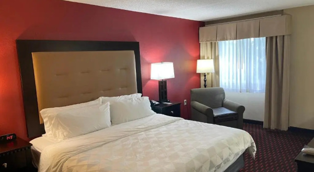 Номер Standard Wyndham Garden Dover