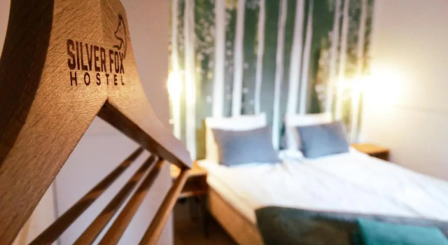 Двухместный номер Standard Silver Fox Hostel