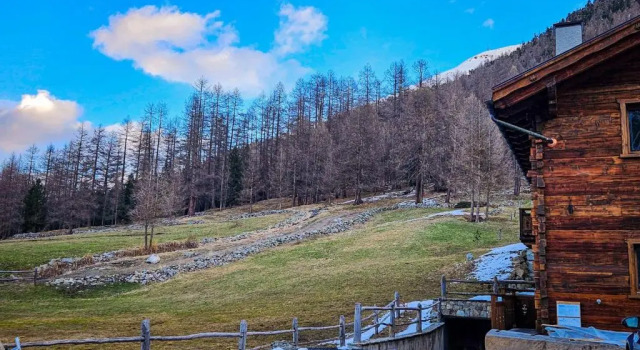 Agriturismo Bosco d'oro 2