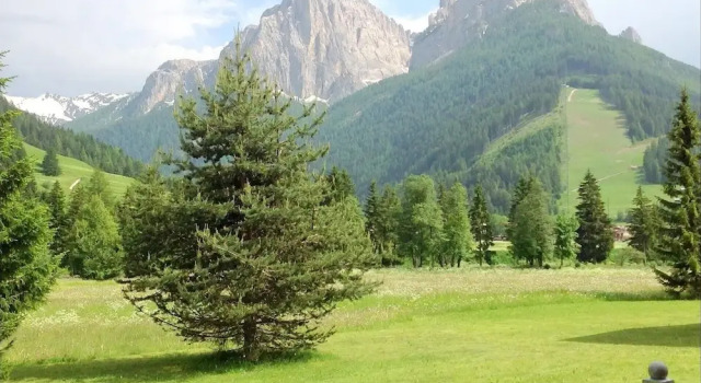 Шале Belvilla by OYO Pozza di Fassa Sei