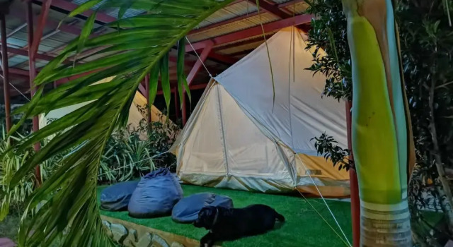 Кровать в общем номере с видом на сад Glamping Alona