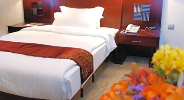 Standard cameră Kaleb Hotel