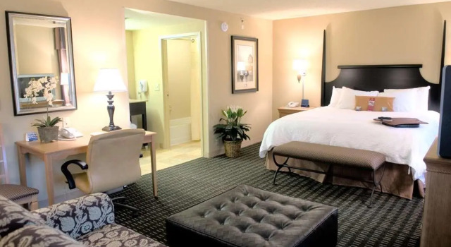 Двухместная студия Hampton Inn & Suites Mobile Providence Park/Airport