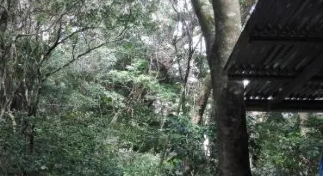 The Green Tree Lodge, Забронировать Отель Санта-Элена Монтеверде