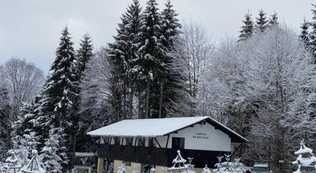 Коттедж Cabana Haiducului Doftana