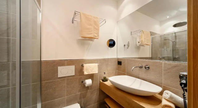 Номер Standard Appartement-Hotel Beatenhof