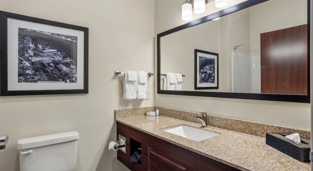 Люкс Cobblestone Hotel & Suites - De Pere Green Bay