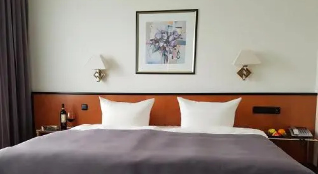 Hotel Ross, Book Hotel Hotels in Lower Franconia with a Pool, Swimming Pool