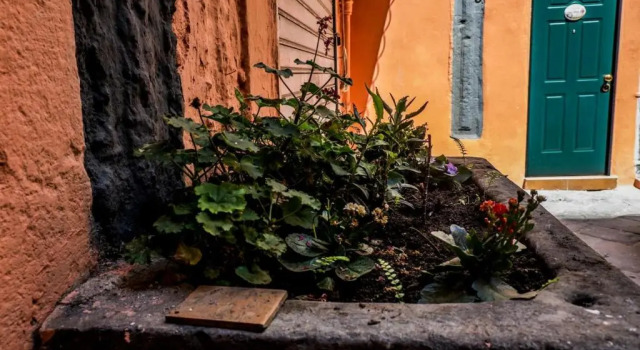 Little House, Забронировать Отель Неаполь - исторический центр Неаполь, рядом с Церковь Пио Монте делла Мизерикордия
