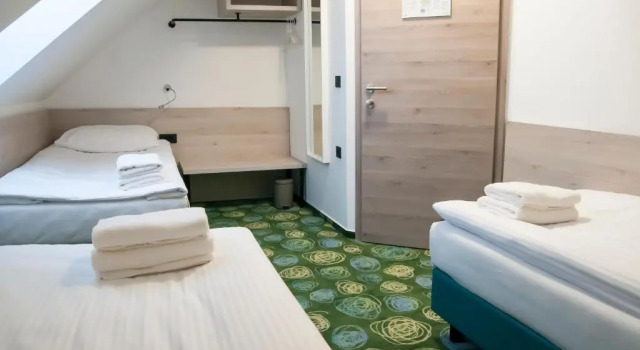 Номер Standard Hotel Center Novo Mesto