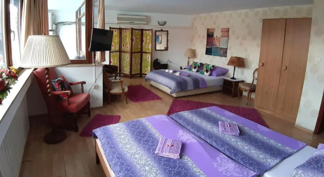 Hostel Pansion Lion