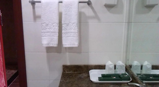 Люкс Beijing Aulympic Airport Hotel