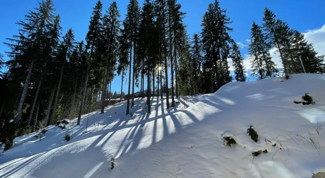 Studio Pamporovo Palace