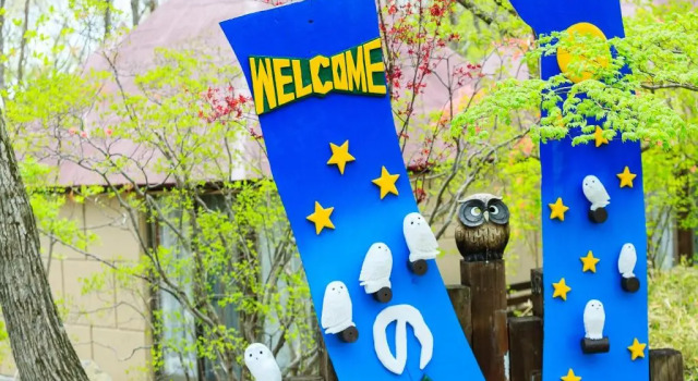 Номер Comfort Hotel Sunvalley Nasu