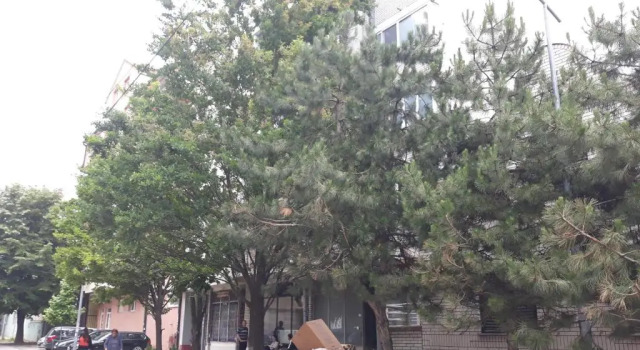 Апартаменты Hann Apartments