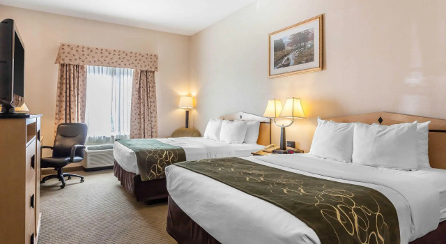 Четырёхместный номер Standard Comfort Inn & Suites Airport Convention Center