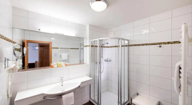 Двухместный номер Standard Hotel Seeblick