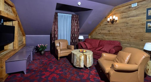 Люкс Executive Hotel Zubrówka Bialowieza