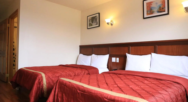 Двухместный номер Standard Phoenix Hotel Brooklyn Sunset Park