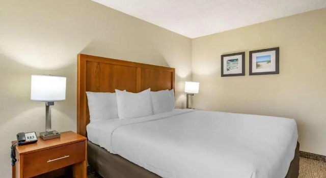 Номер Standard Comfort Inn & Suites St Pete - Clearwater International Airport