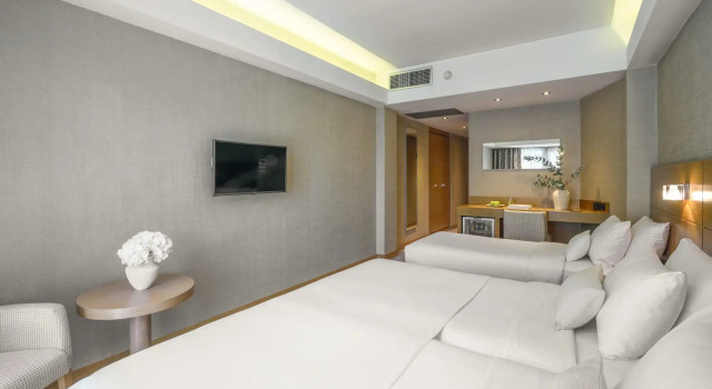 Трёхместный номер Deluxe Anatolia Hotel