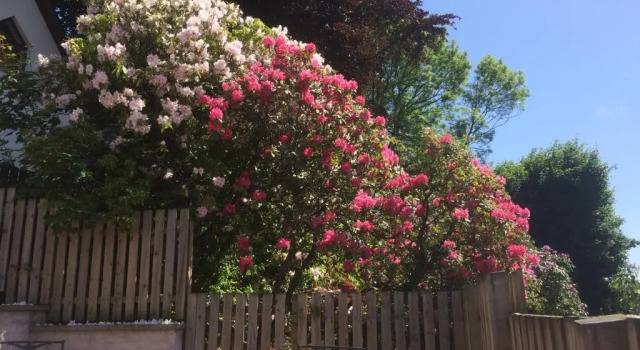 Коттедж Wallaces Rest