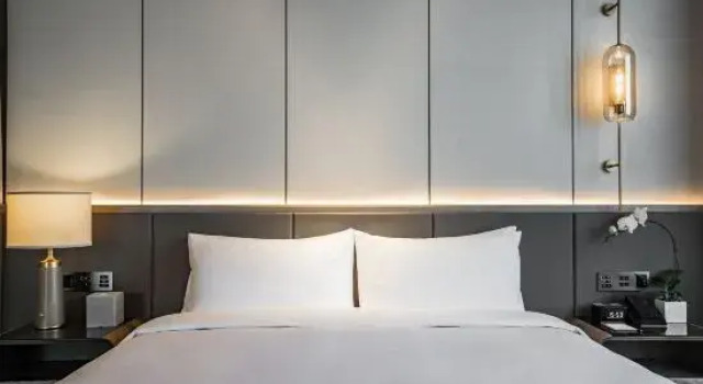 Люкс Comfort с видом на озеро Fillmore  Grand Binhu Hefei