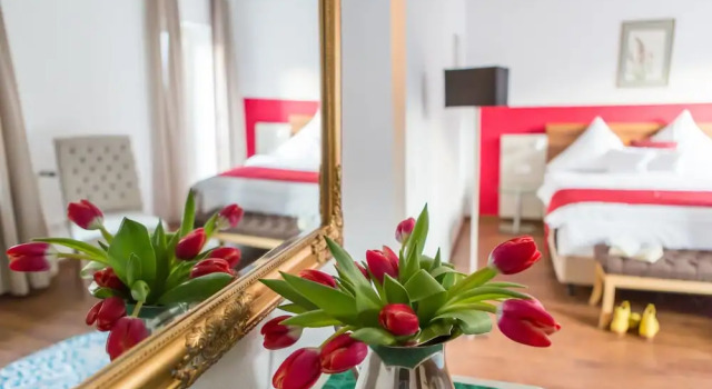 Одноместный номер Economy Hotel Vorderburg