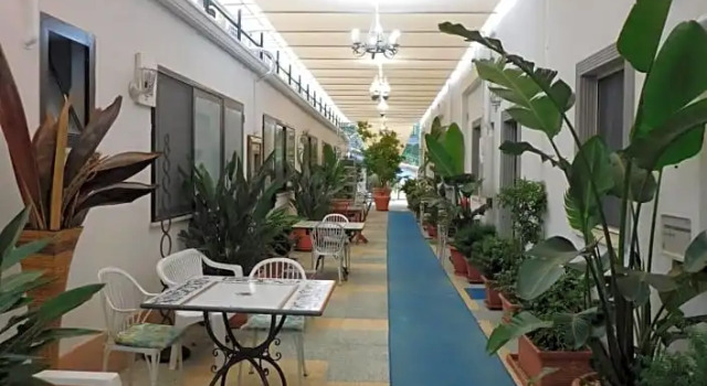 Habitación Estándar Hotel Blumentag