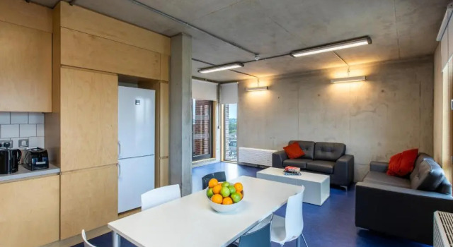 Апартаменты Maynooth Campus Apartments