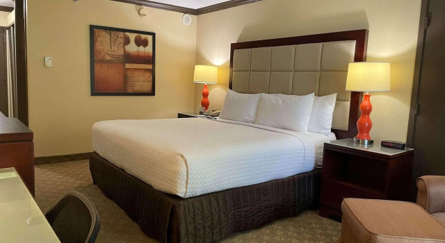 Двухместный номер Wingate Houston near NRG Park/Medical Center