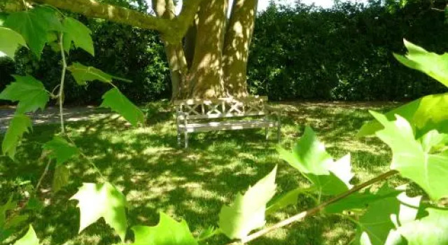 Domaine du Papillon, Prenota Hotel Lesparre-Medoc Medoc