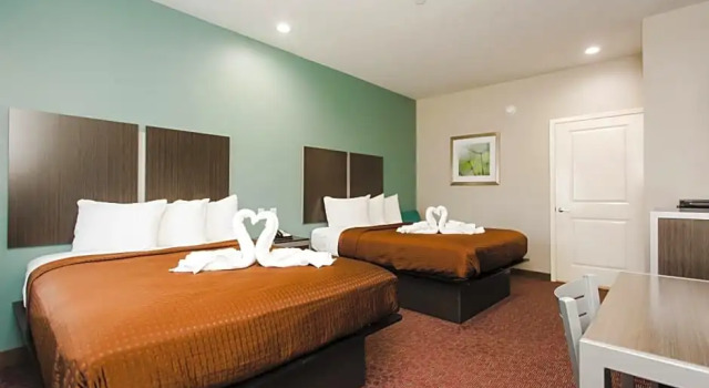Deluxe Zimmer Express Inn - Spring